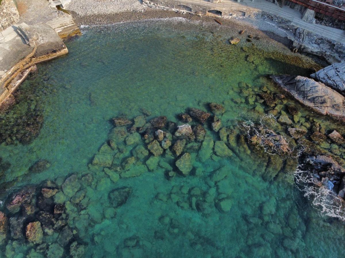 La Terrazza Sul Mare Leilighet Zoagli Eksteriør bilde