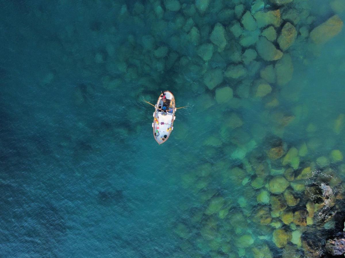 La Terrazza Sul Mare Leilighet Zoagli Eksteriør bilde