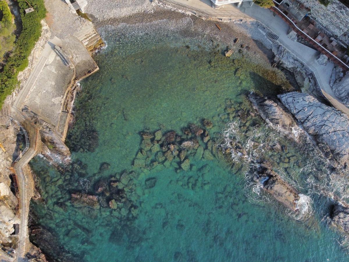 La Terrazza Sul Mare Leilighet Zoagli Eksteriør bilde